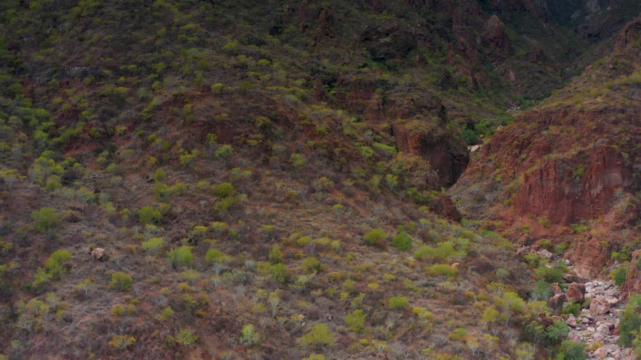 Rocky slope in Puerto Escondido BCS Mexico with scattered green shrubs, brown brush, red soil cuts, and no visible people.