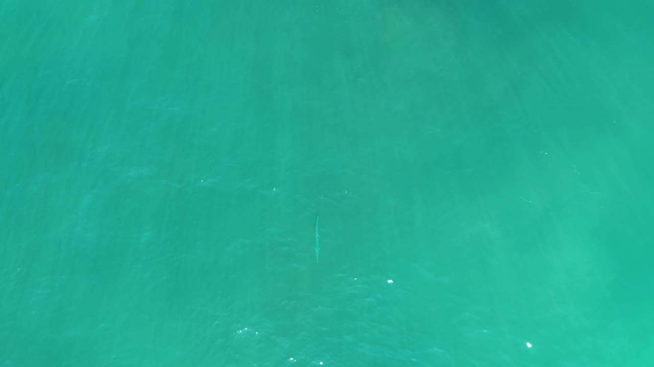 Overhead view of clear turquoise water at San Luis Beach East Cape Los Cabos, with faint small fish under the surface and no visible people.
