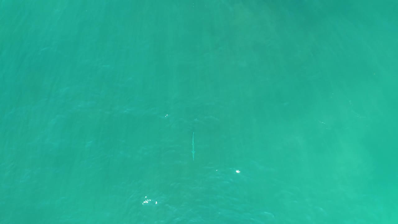 Clear green-blue ocean water at San Luis Beach East Cape Los Cabos, with tiny fish marks and scattered surface highlights, no visible people.