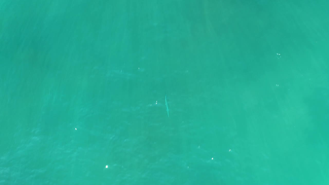 Turquoise water fills the frame at San Luis Beach East Cape Los Cabos, with pale fish streaks visible below the surface and no visible people.