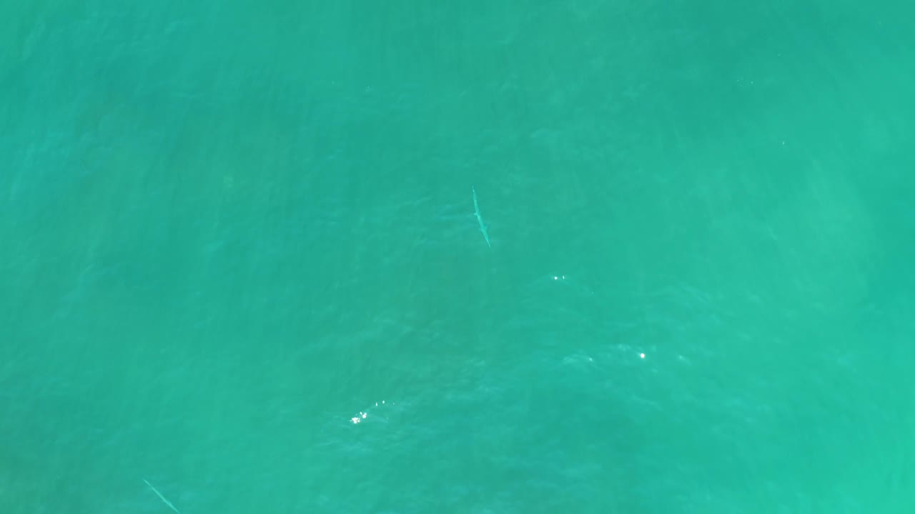 Clear turquoise ocean water with faint fish and rippled highlights.