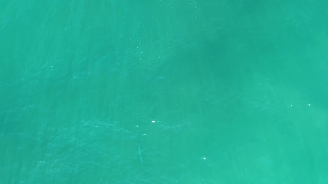 Clear turquoise water with faint ripples and light glints.
