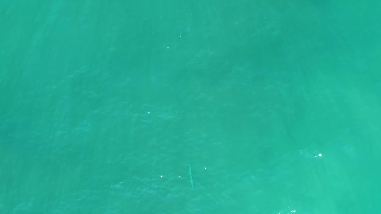 At 0:03, turquoise water fills the San Luis Beach frame, with soft ripple texture across muted shallow areas and no visible people or objects.