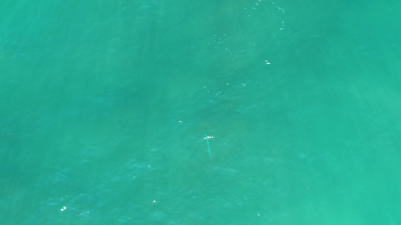 Clear teal ocean surface at San Luis Beach East Cape Los Cabos, Mexico, with scattered sun glints across gentle ripples and no visible people.
