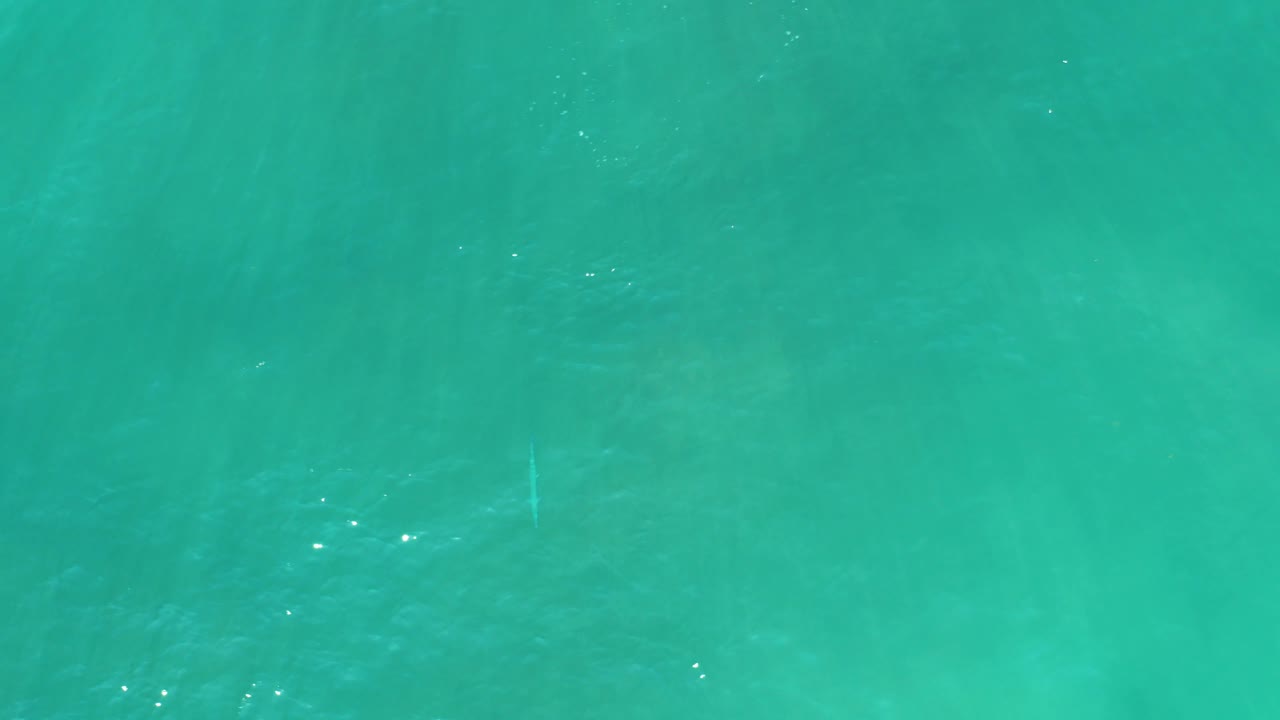 Bright turquoise ocean water at San Luis Beach East Cape Los Cabos, Mexico, with pale reflective streaks on the surface and no visible people.