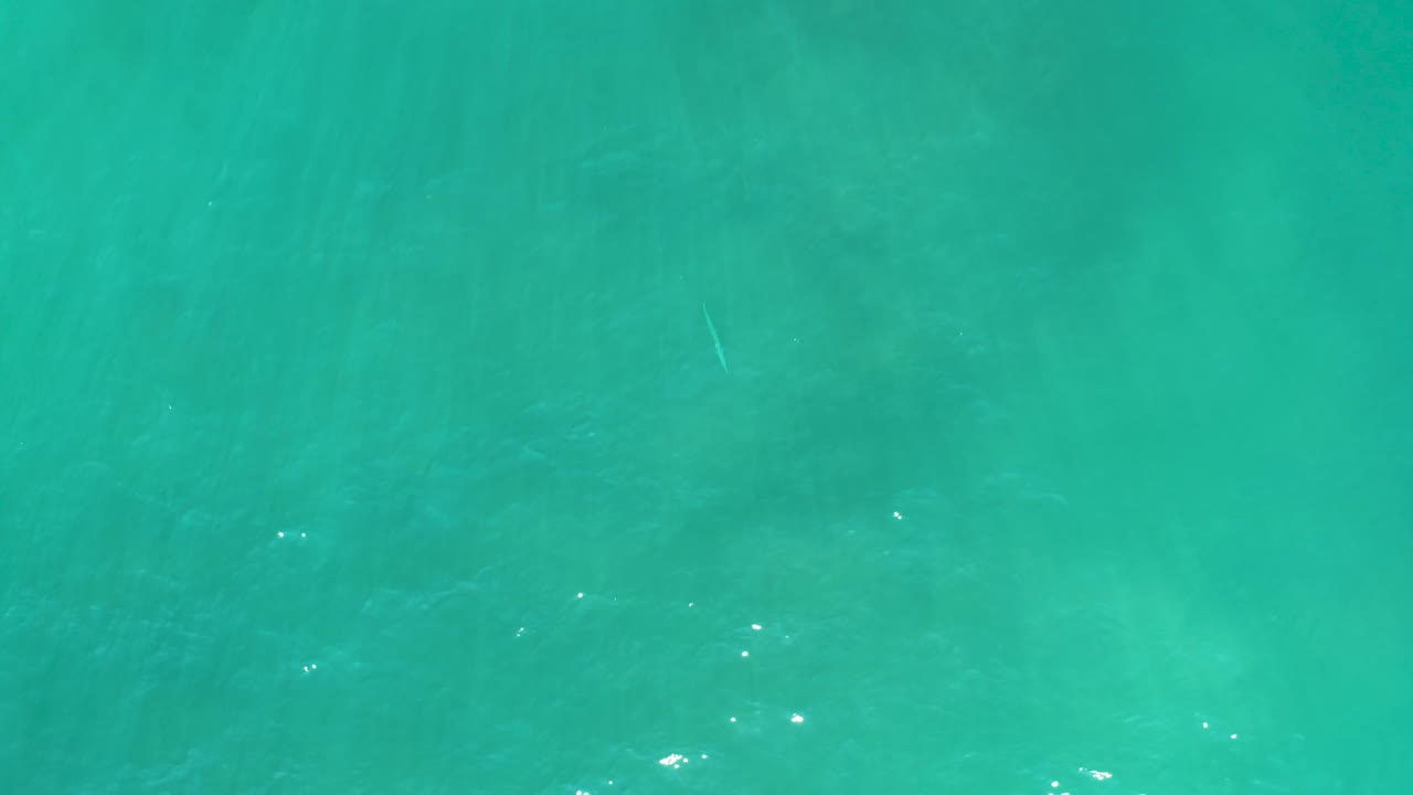 Aerial view of clear turquoise ocean at San Luis Beach East Cape Los Cabos with a faint dolphin form under the surface, scattered sun glints, and no visible people.