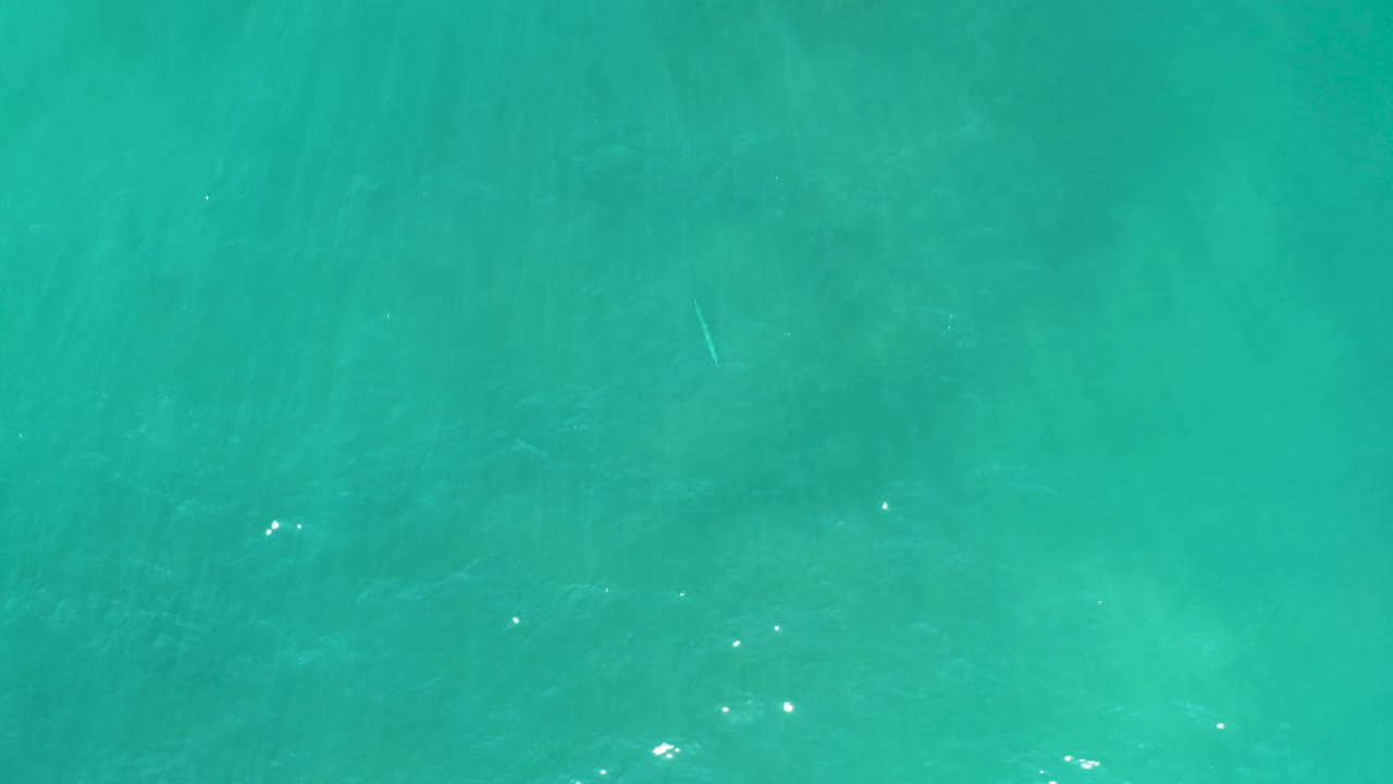 Clear teal ocean surface with small bright reflections and subtle underwater movement.
