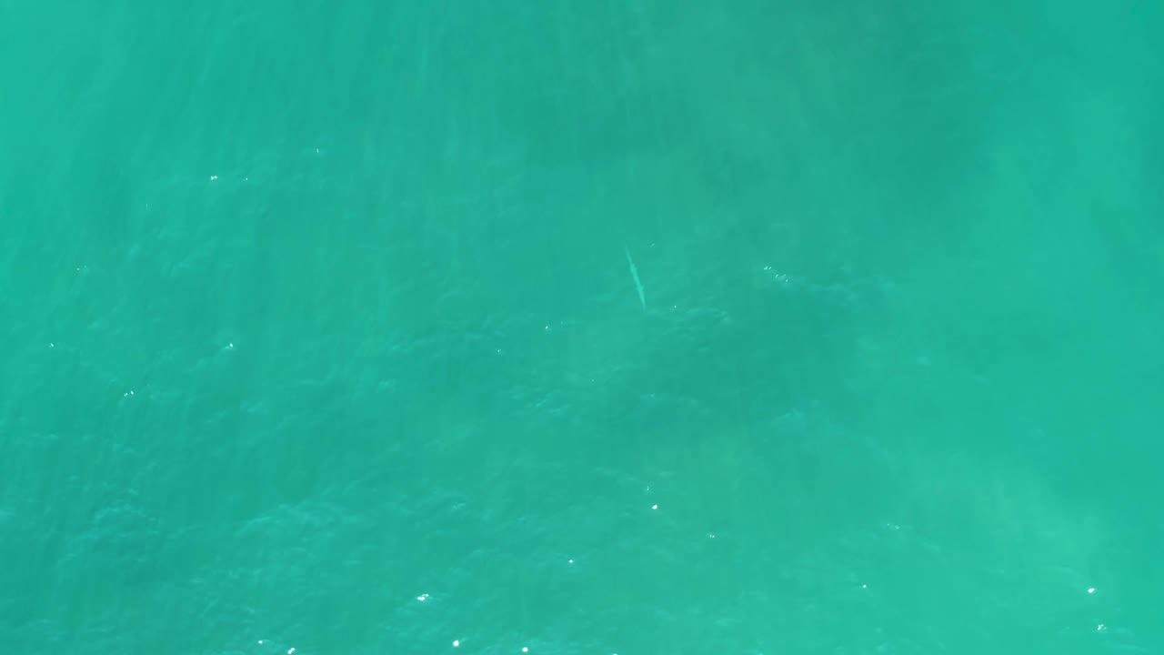 Top-down view of turquoise ocean at San Luis Beach East Cape Los Cabos with soft ripples and a faint dolphin-like form beneath the water, no visible people.