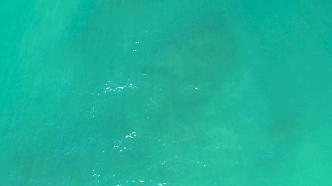 Overhead turquoise water frame from San Luis Beach East Cape Los Cabos, with subtle darker bands below the surface and no visible people or shoreline.