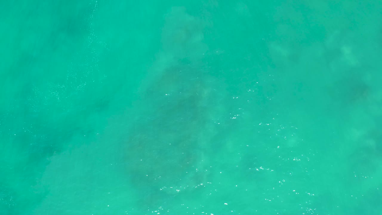 Overhead frame from San Luis Beach East Cape Los Cabos Mexico showing a sea turtle faintly below clear turquoise water, with no visible people.