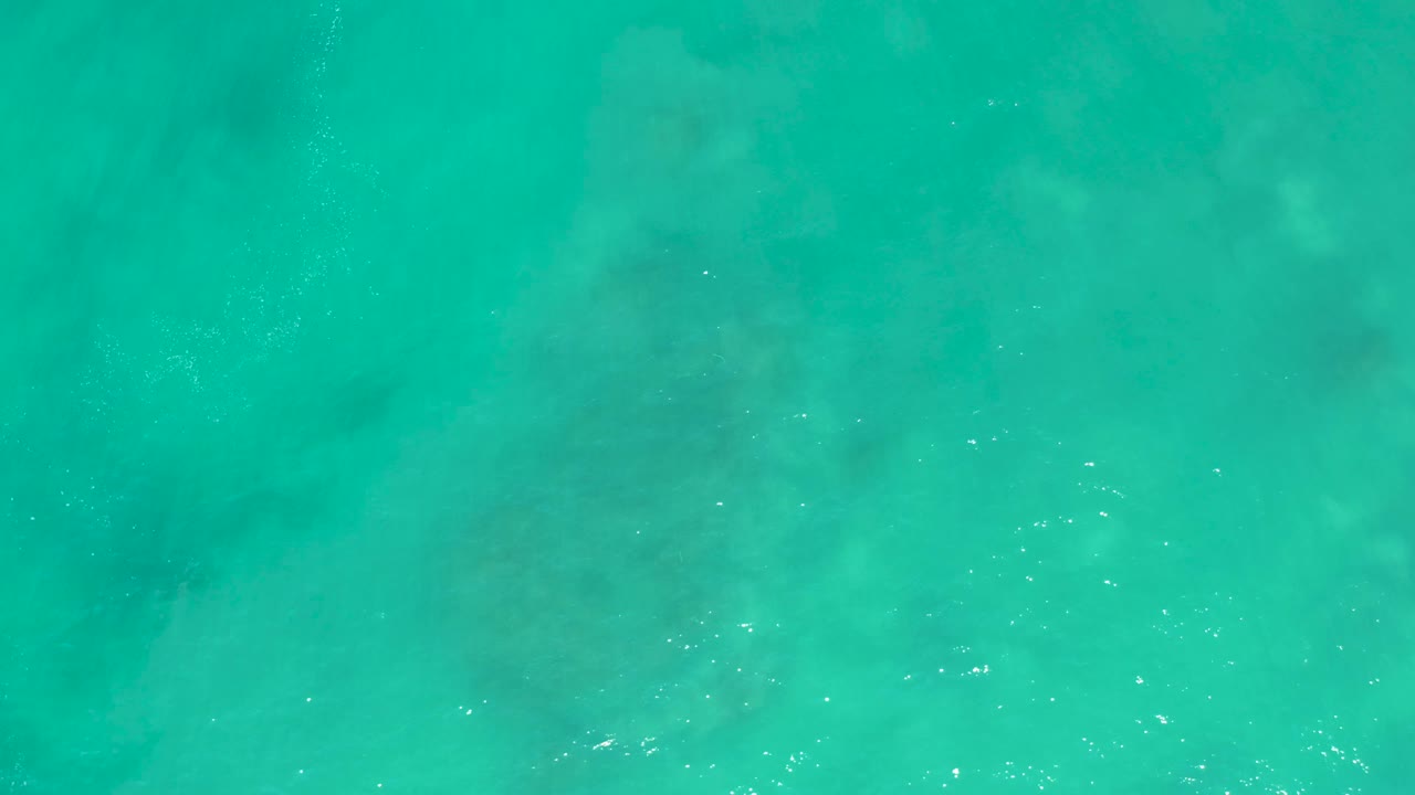A top-down view shows the sea turtle silhouette slightly deeper in the blue-green water at San Luis Beach East Cape Los Cabos Mexico, with no shoreline or people visible.