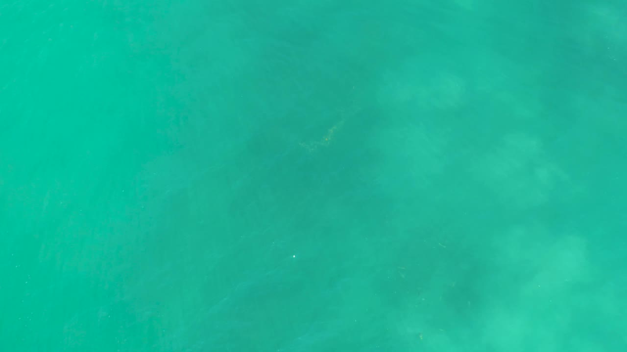 Overhead view at San Luis Beach, Mexico, showing clear turquoise water, faint small fish, soft underwater shadows, and no visible people.