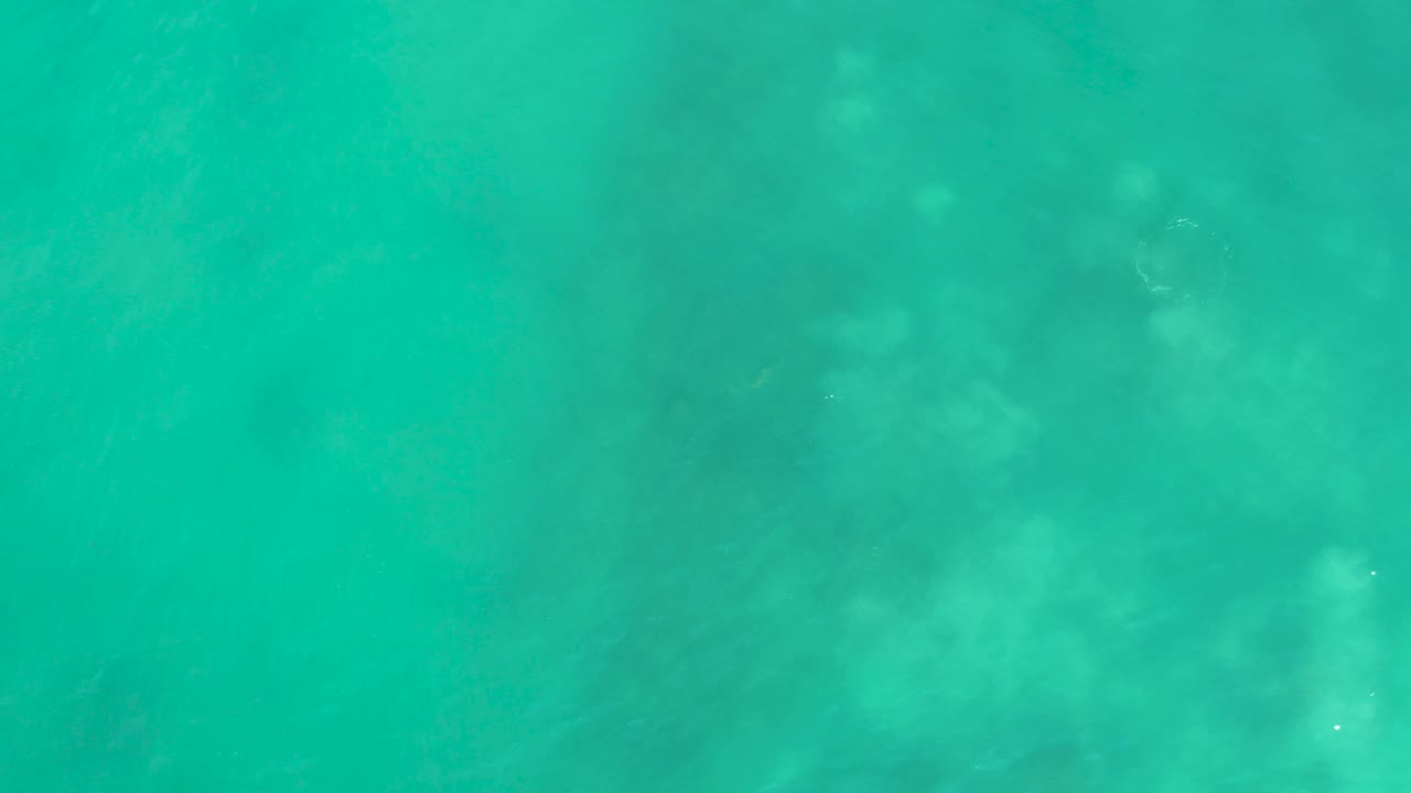 Top-down view of turquoise water over pale seabed and coral-like patches at San Luis Beach, East Cape Los Cabos, Mexico, with no visible people.