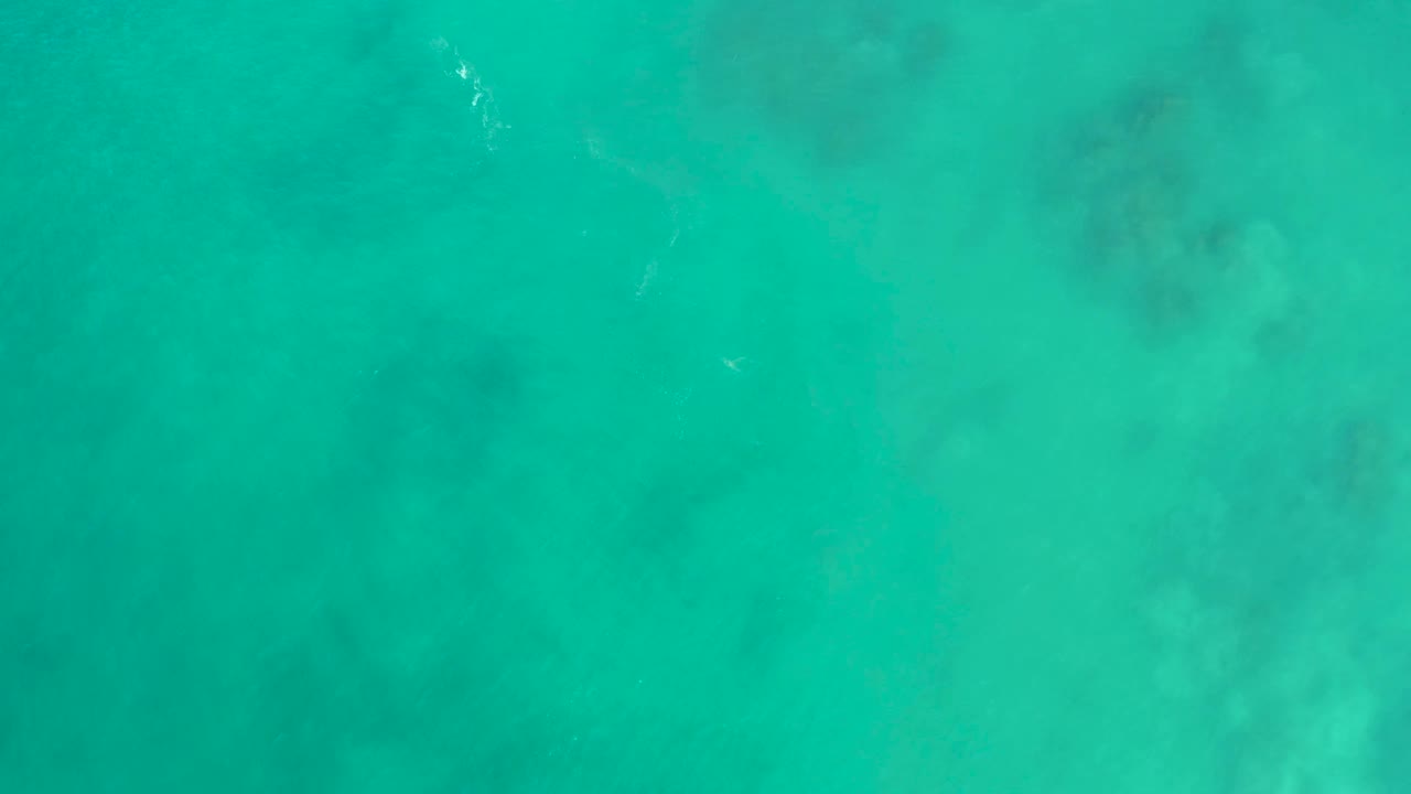 Overhead turquoise water in Mexico with a faint pale fish or ripple trace near the upper area and darker seabed shapes below, with no visible people.