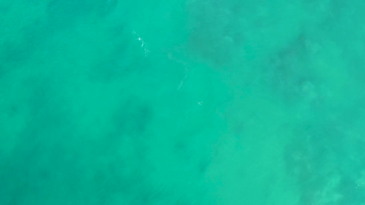 Clear blue-green water fills the frame at San Luis Beach East Cape Los Cabos, with small white surface marks near the upper area and no visible people.
