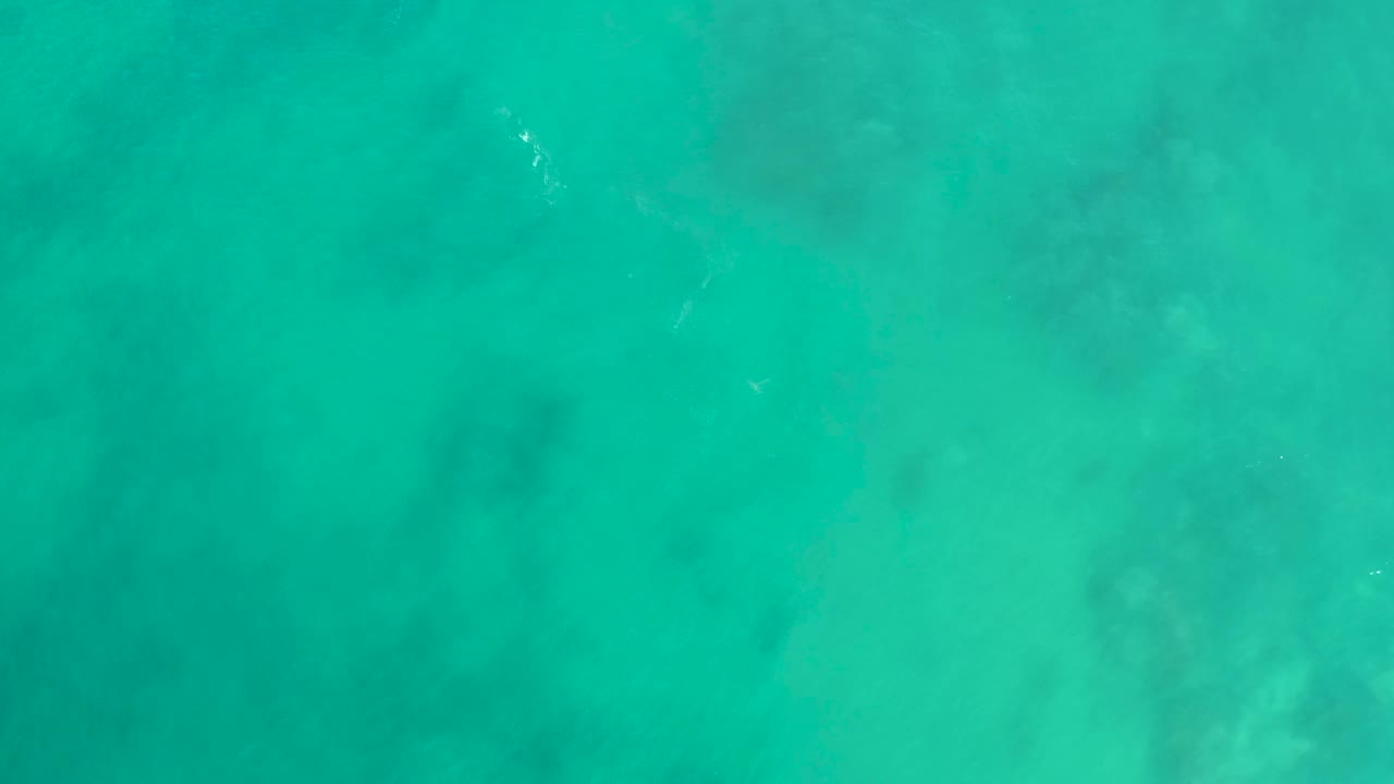 Aerial view of shallow turquoise sea at San Luis Beach East Cape Los Cabos, with blurred underwater rock or coral texture and no visible people.