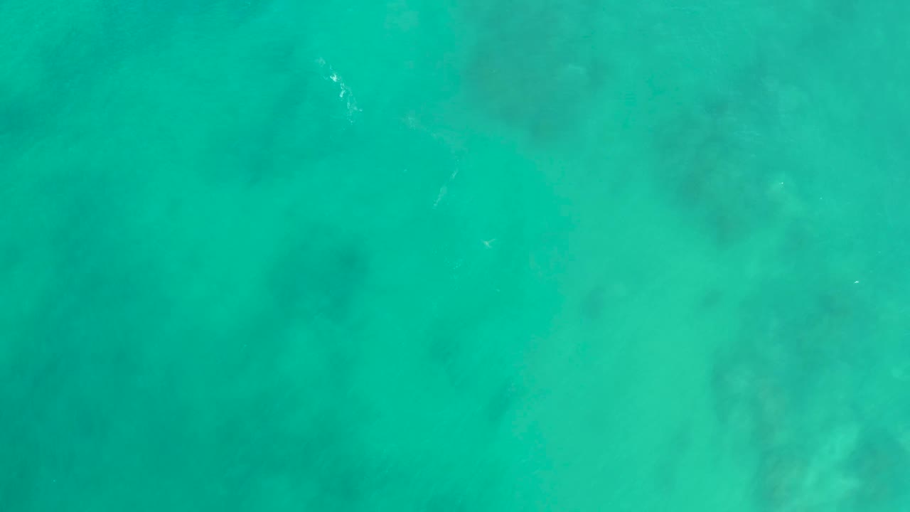 Turquoise ocean surface at San Luis Beach East Cape Los Cabos, with pale sandy-looking areas and darker submerged forms, and no visible people.