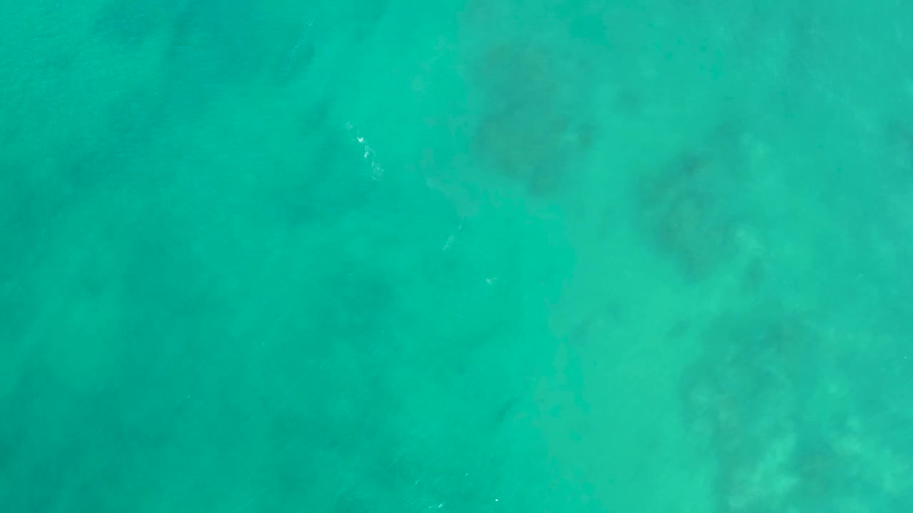 At 0:00, clear turquoise water at San Luis Beach East Cape Los Cabos shows pale seabed texture, darker reef patches, and a small bright fish with no visible people.