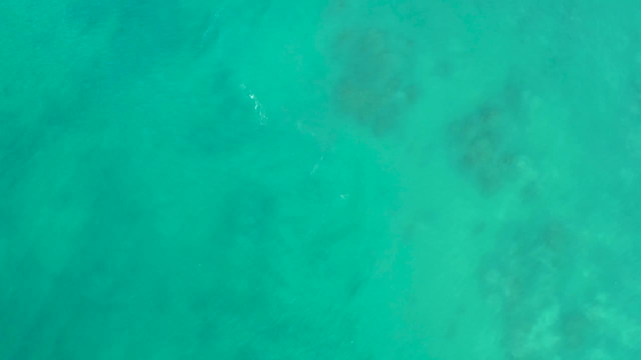 At 0:02, clear water over the San Luis Beach seabed shows the small bright fish near the upper middle and mottled underwater patches below, with no visible people.