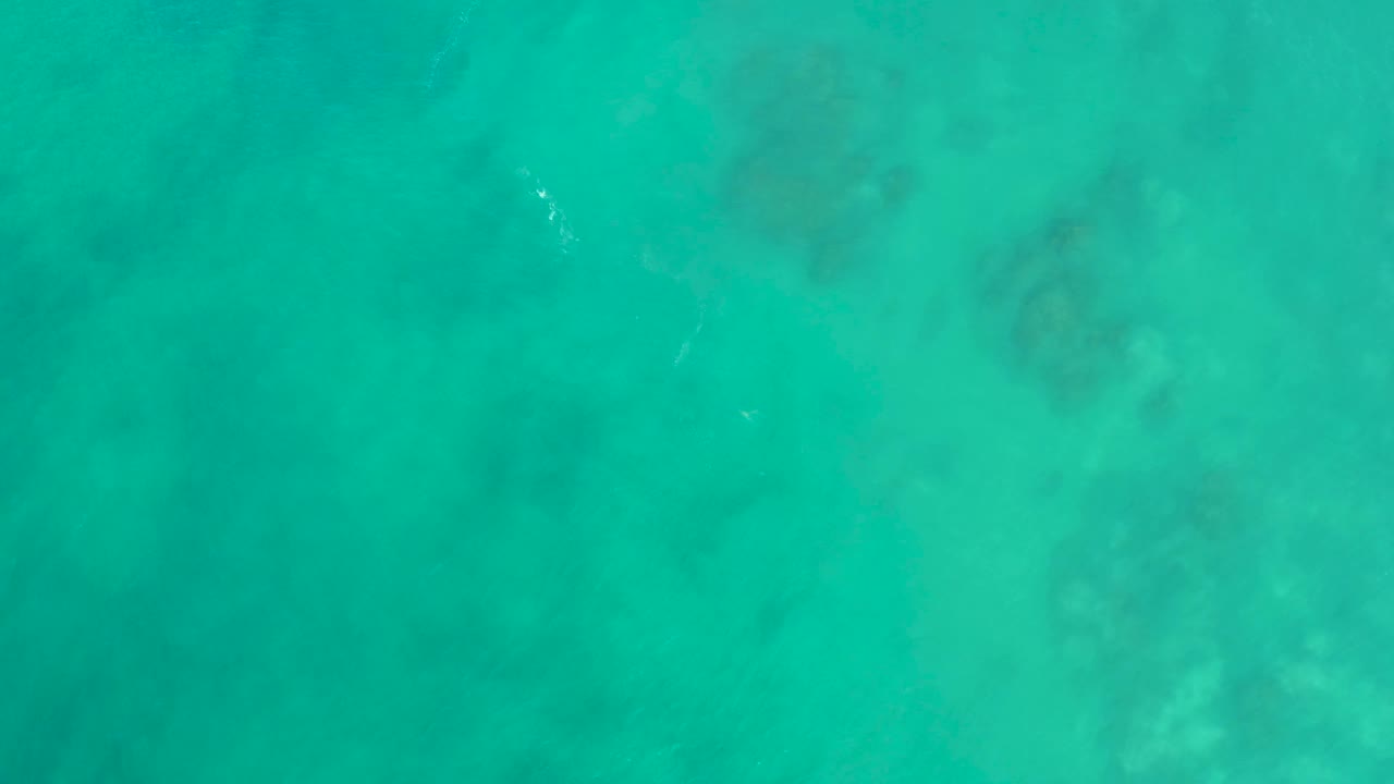 At 0:03, the San Luis Beach water shows pale seabed areas, soft darker patches, and the small fish now farther across the frame, with no visible people.