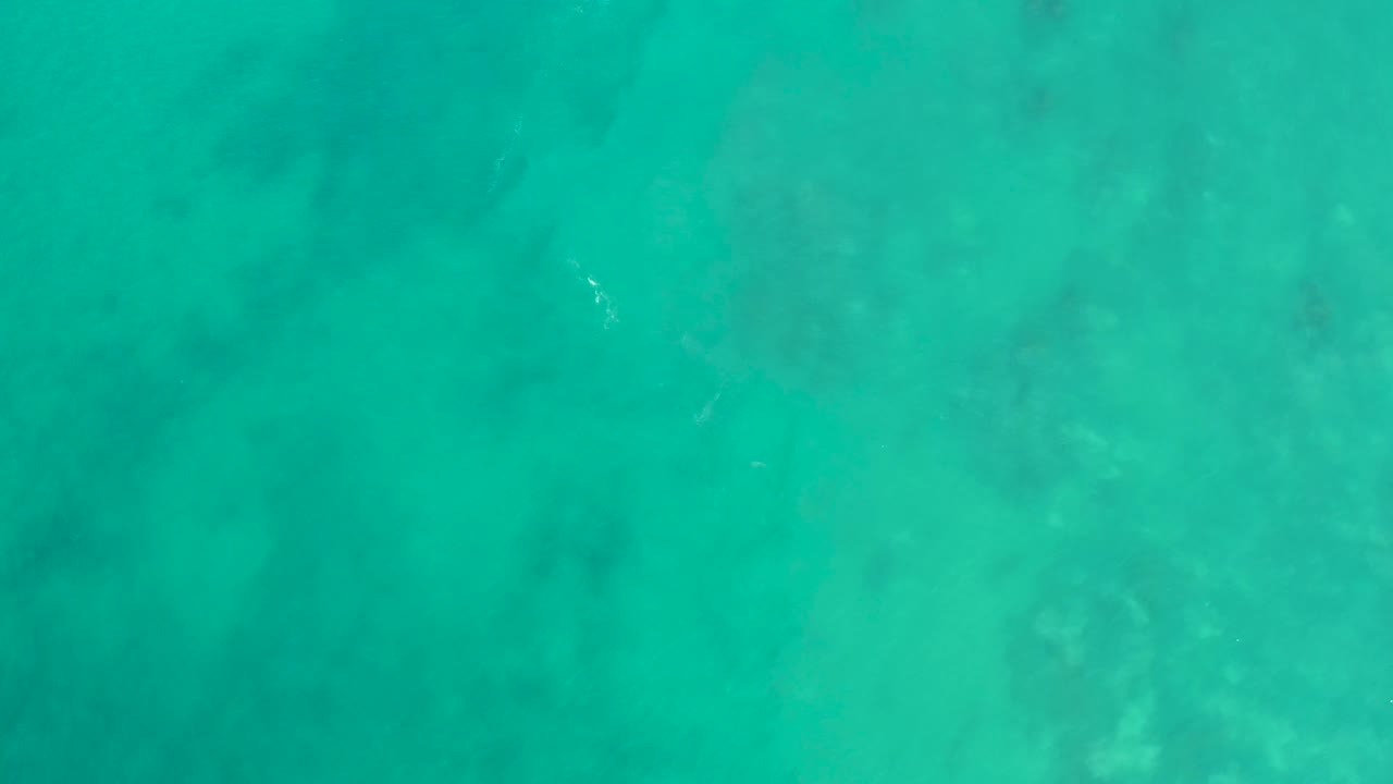 Overhead view at San Luis Beach, East Cape Los Cabos, Mexico, showing turquoise shallow water, faint seabed patches, a barely visible sea turtle below the surface, and no visible people.