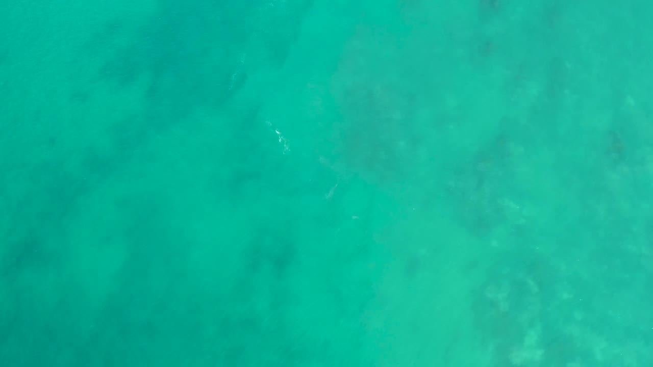 Overhead frame from San Luis Beach, East Cape Los Cabos, Mexico, with a faint turtle shape under clear turquoise water, soft darker seabed areas, and no visible people.
