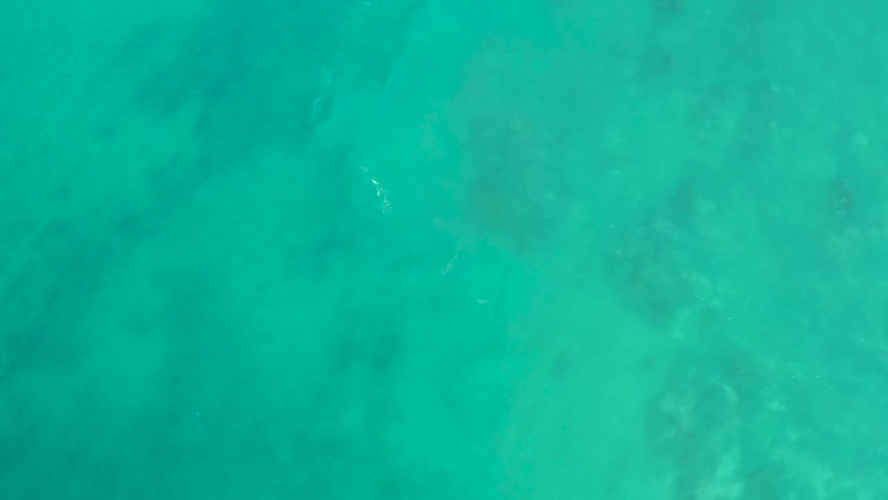 Aerial-looking view at San Luis Beach, East Cape Los Cabos, Mexico, where a subtle sea turtle form sits beneath turquoise water above mottled seabed, with no visible people.