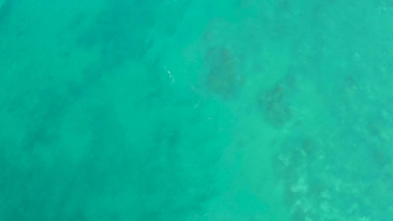 Top-down view of clear turquoise ocean water at San Luis Beach East Cape Los Cabos Mexico, with faint pale seabed patches and no visible people.