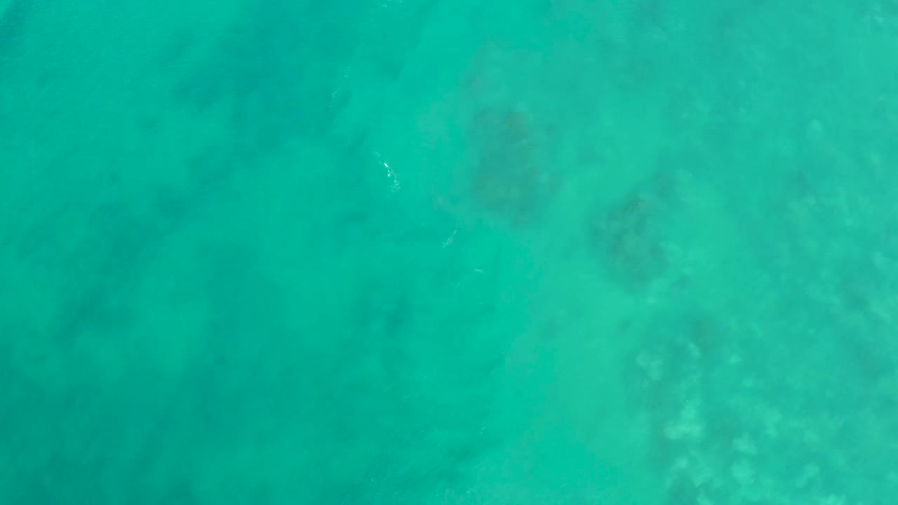 Clear blue-green ocean water fills the frame at San Luis Beach East Cape Los Cabos Mexico, with mottled seabed texture visible below and no visible people.