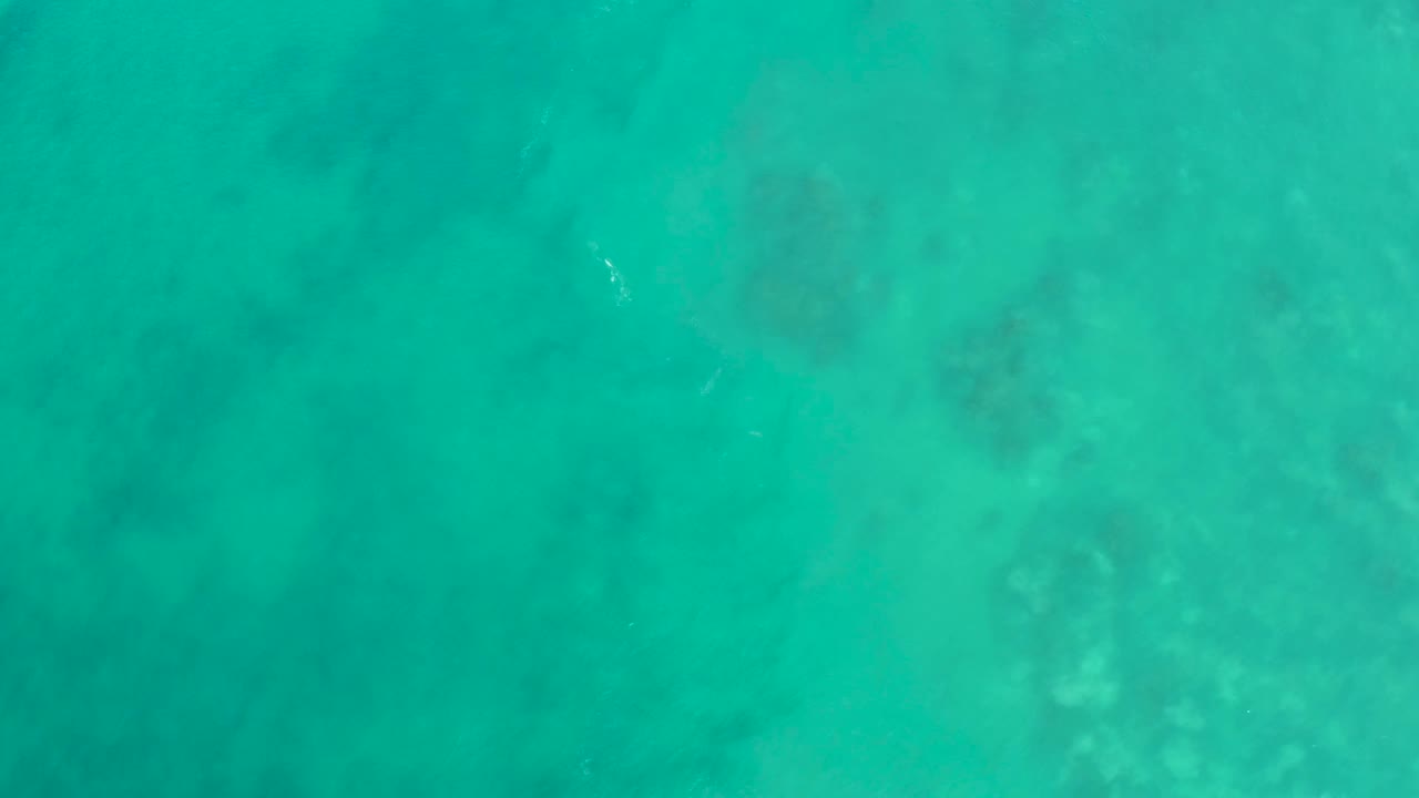 Turquoise water at San Luis Beach East Cape Los Cabos Mexico shows darker underwater patches and a small pale fish-like mark, with no visible people.