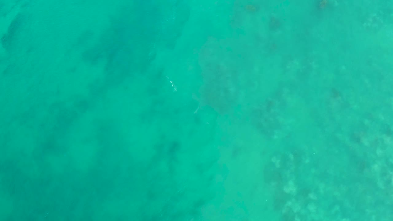 Straight-down view of clear turquoise water over darker coral and seabed patches at San Luis Beach East Cape Los Cabos, Mexico, with no visible people.