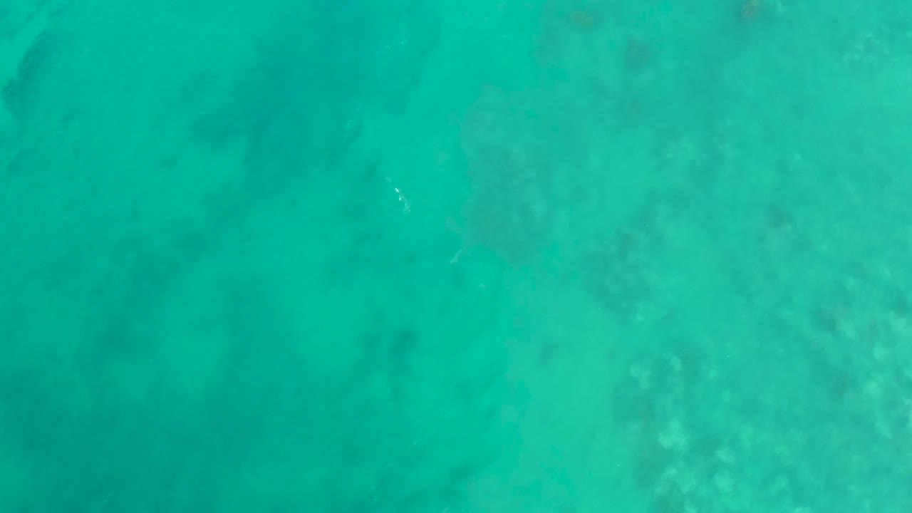 Clear turquoise water fills the frame at San Luis Beach East Cape Los Cabos, Mexico, with muted reef shapes below the surface and no visible people.