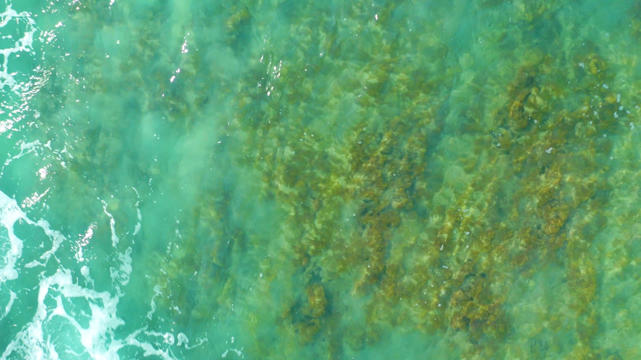 Top-down view of turquoise water at San Luis Beach East Cape Los Cabos, Mexico, with dark underwater vegetation and white wave foam entering from the left, no visible people.