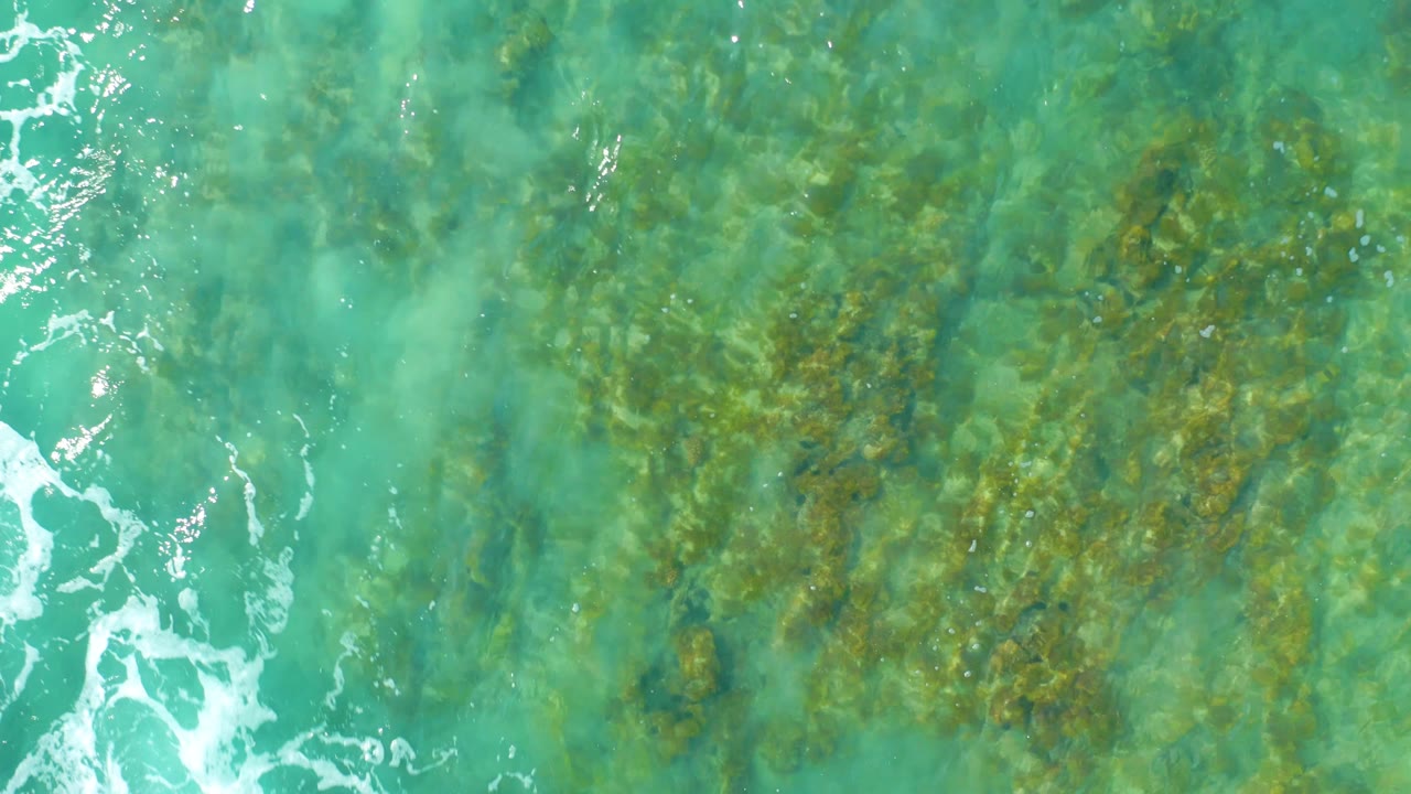 Clear green-blue water over seaweed with a narrow foam streak near center