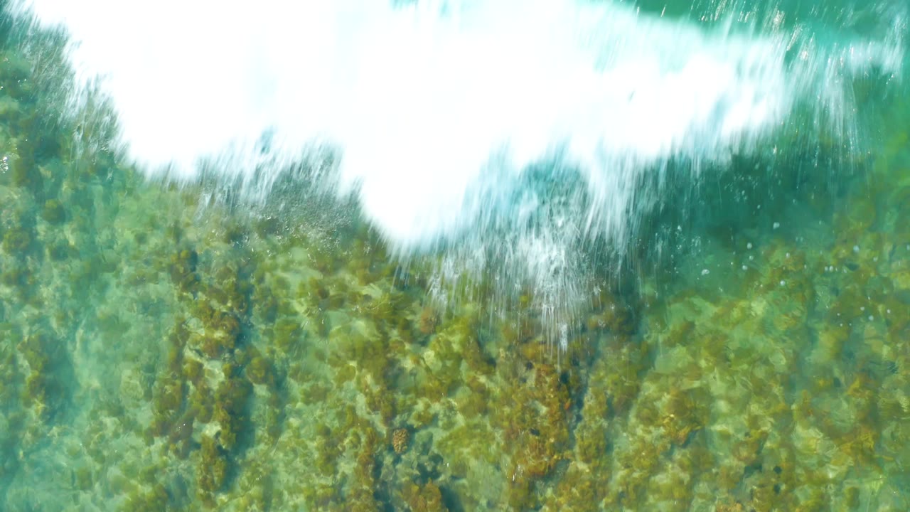 At San Luis Beach East Cape Los Cabos BCS Mexico, white surf spreads across the top of turquoise shallow water with green-brown seabed texture below and no visible people.