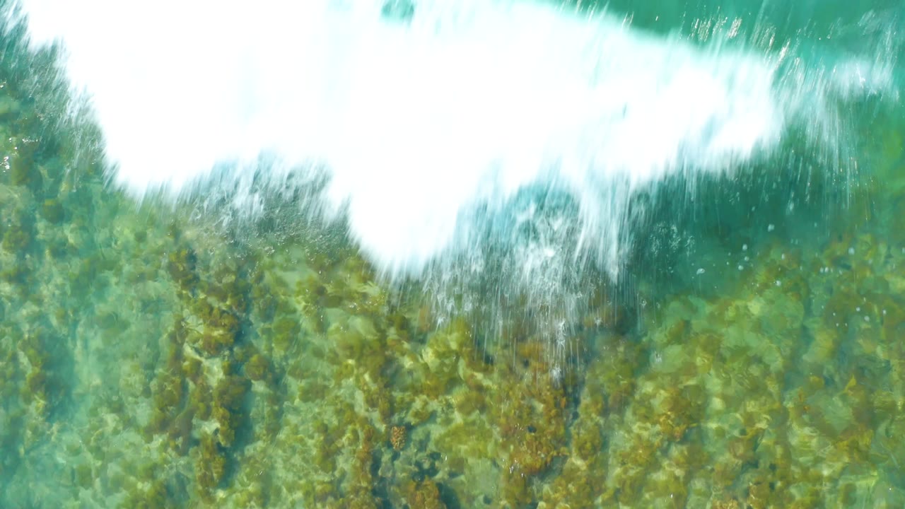 At San Luis Beach East Cape Los Cabos BCS Mexico, a bright foam band sits near the top edge while clear water reveals mottled rocks and underwater vegetation with no visible people.