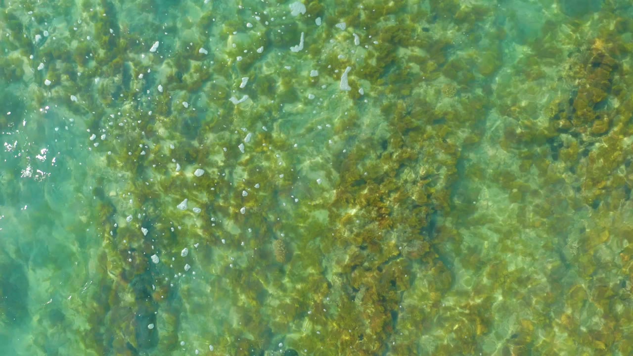 Top-down view of clear turquoise water over submerged rocks at San Luis Beach East Cape Los Cabos, Mexico, with bright ripples and no visible people.