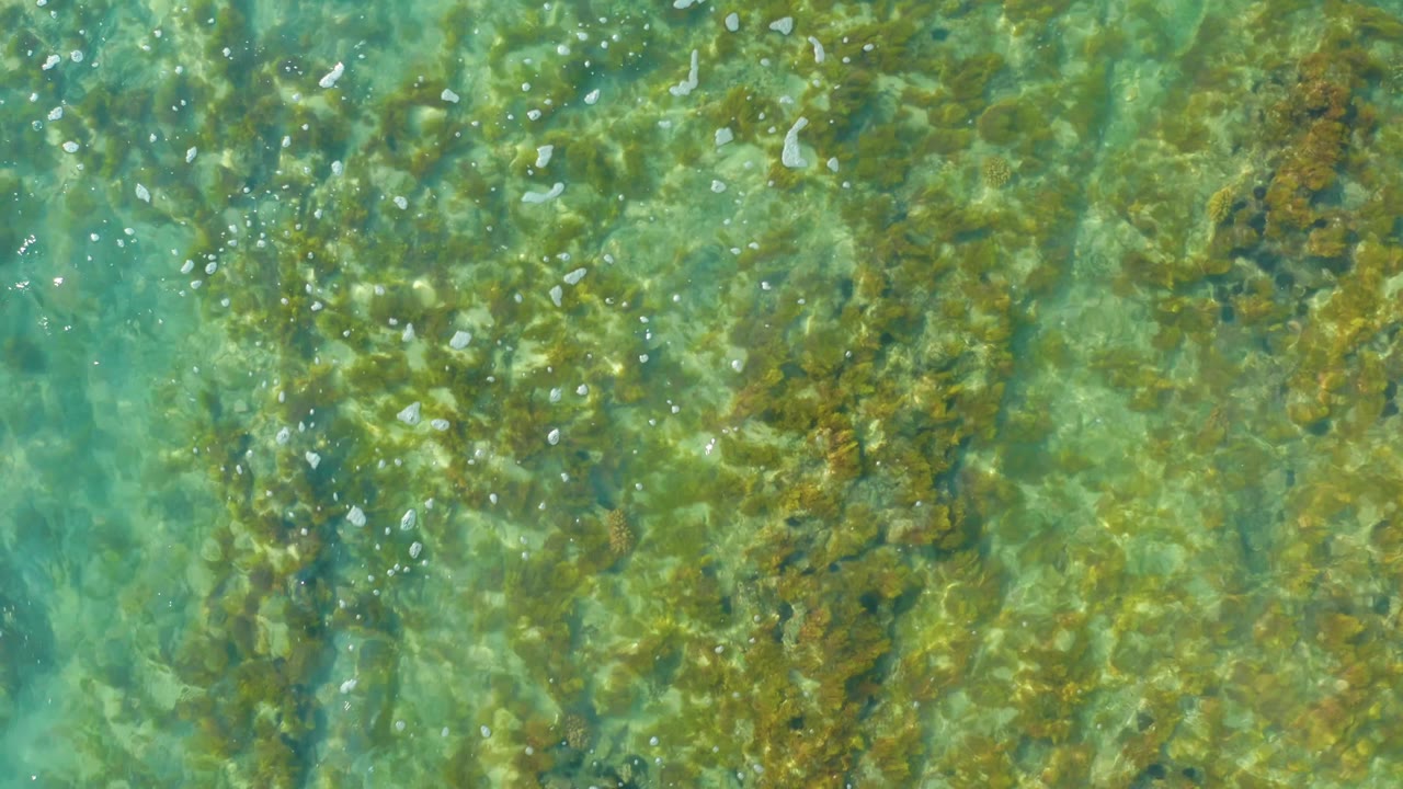 A top-down water detail from San Luis Beach East Cape Los Cabos, Mexico, showing sunlit turquoise water, mottled rocks, and no visible people.