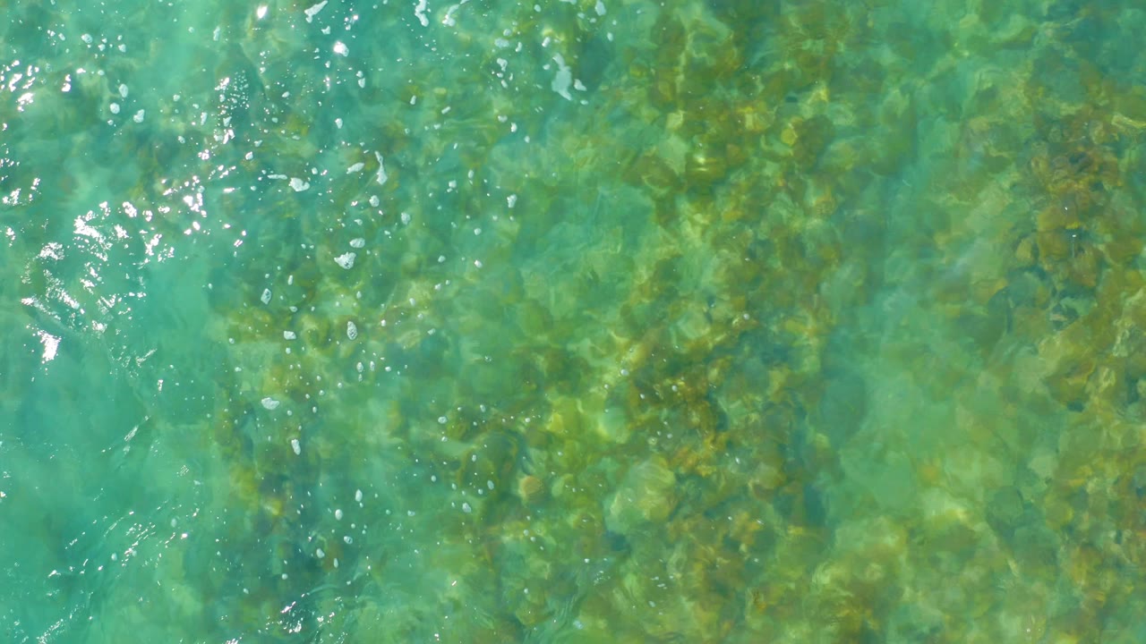 Turquoise shallow water over rocks and seaweed