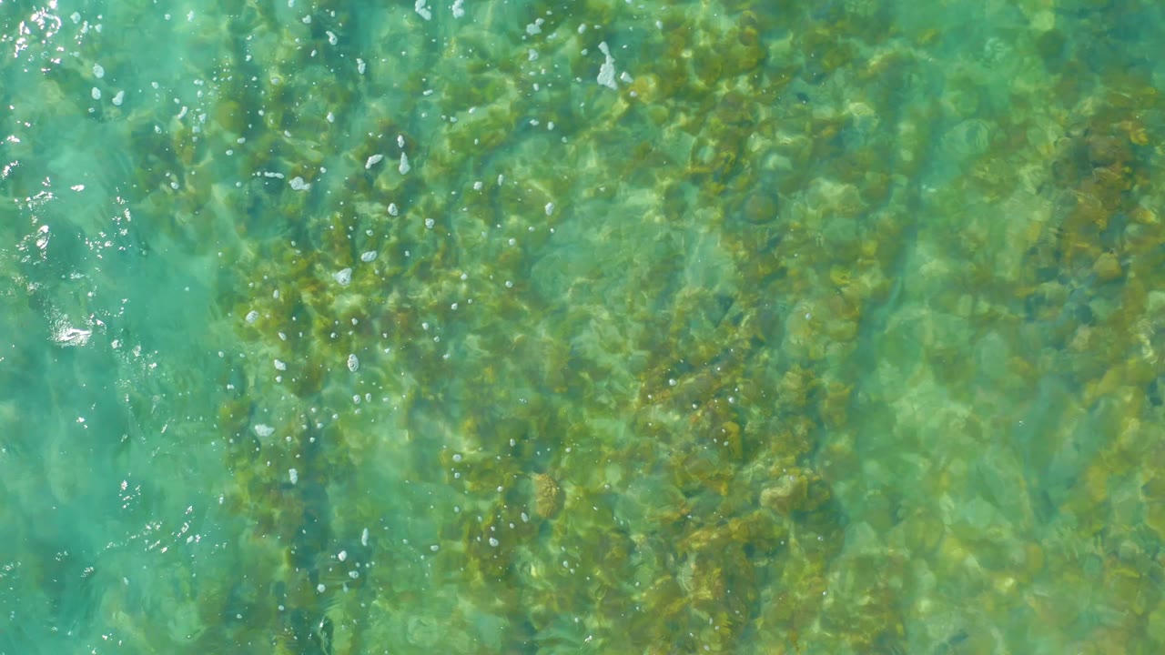 A straight-down view shows blue-green water over a mottled rocky bottom and seaweed patches at San Luis Beach East Cape Los Cabos, with no visible people.