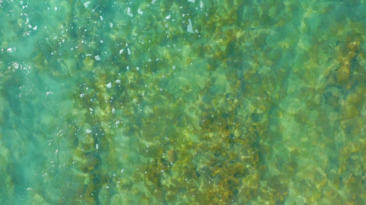 Shallow turquoise water reveals dense green algae or seaweed and darker rocks below the moving surface pattern, with no visible people.
