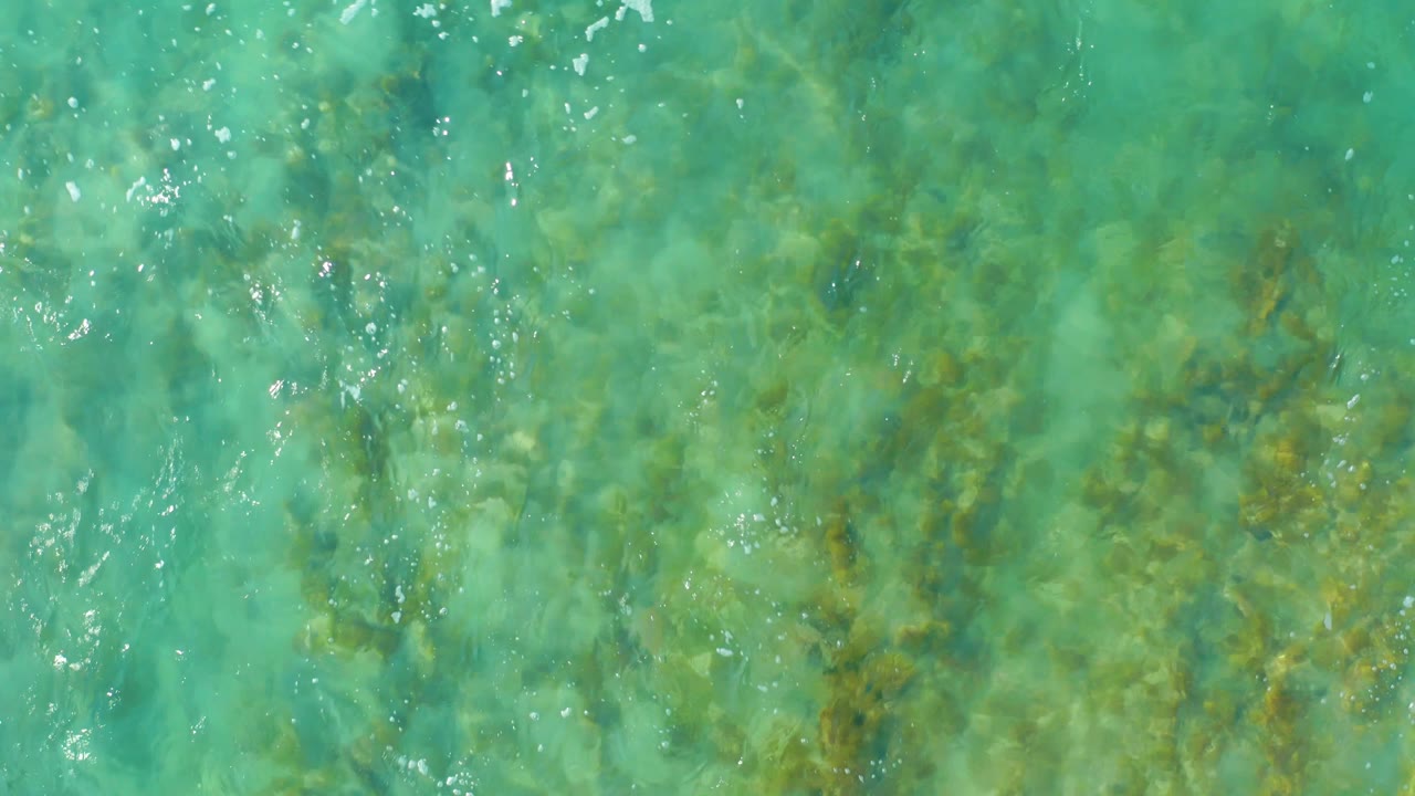 Clear green-blue water fills the frame at San Luis Beach East Cape Los Cabos, Mexico, with darker seabed patches, underwater vegetation, scattered highlights, and no visible people.