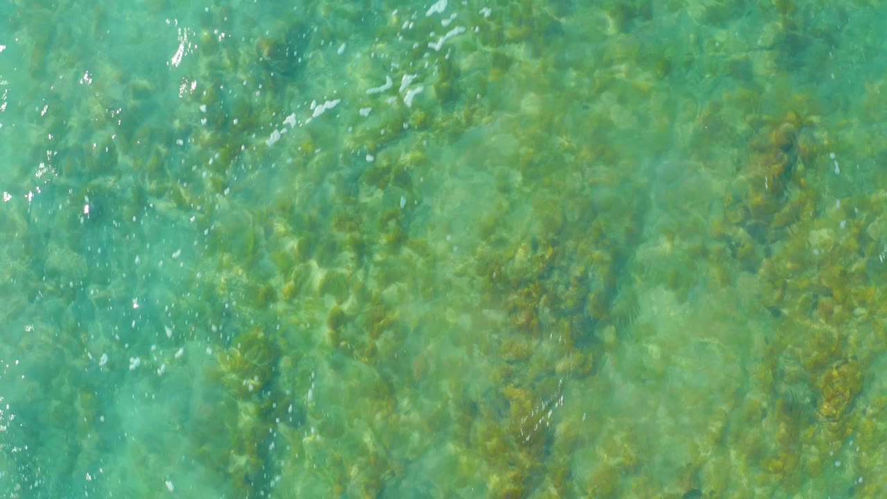 Overhead view of clear turquoise water at San Luis Beach East Cape Los Cabos Mexico, with submerged green-brown vegetation and no visible people.