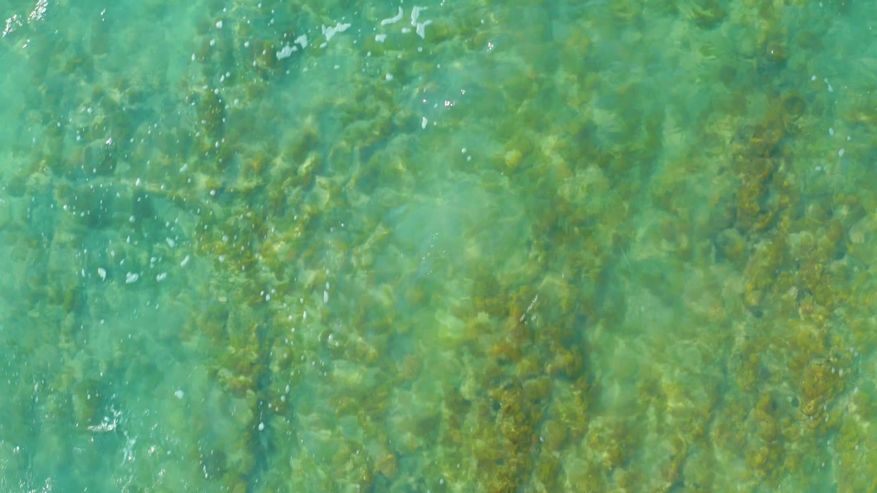 Aerial-style frame of shallow turquoise sea at San Luis Beach East Cape Los Cabos Mexico, with denser green vegetation visible beneath rippled water and no visible people.