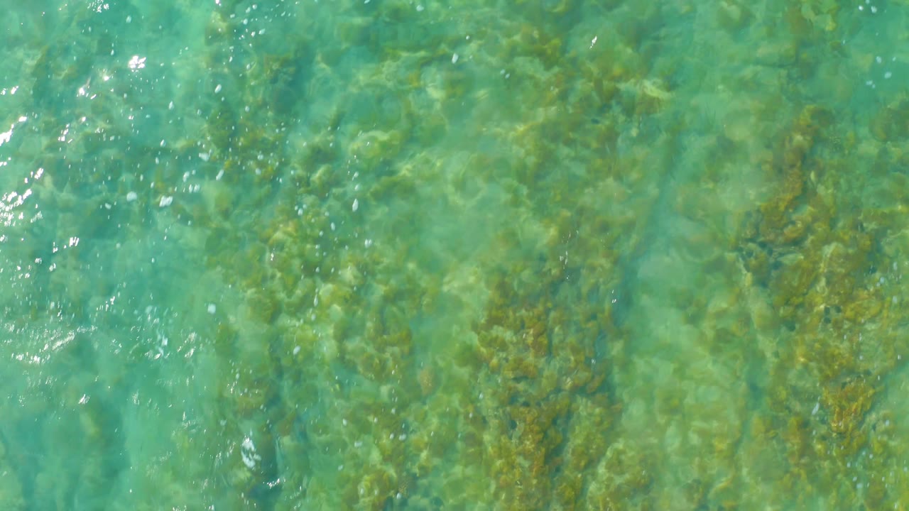 Rippling turquoise water with darker submerged plant bands below the surface.