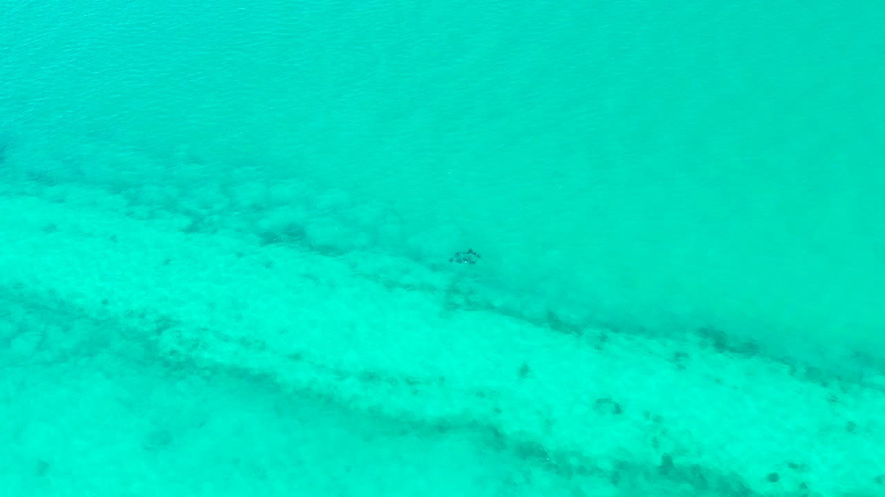 A small fish remains visible against the pale seabed in clear turquoise water, with darker natural patches across the ocean floor and no visible people.