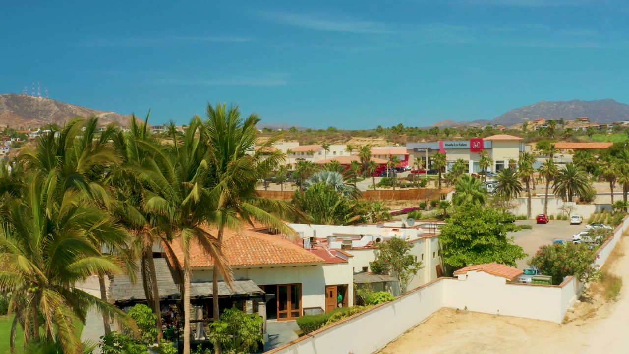 Elevated view over Campestre San Jose Del Cabo showing a dense palm cluster, a white perimeter wall, sandy ground, red-tiled roofs, parked cars, distant mountains, and no visible people.