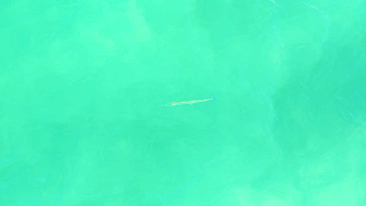 At 0:02, the fish is farther right within the turquoise overhead water view, with soft submerged patches and light surface texture across the frame, no visible people.
