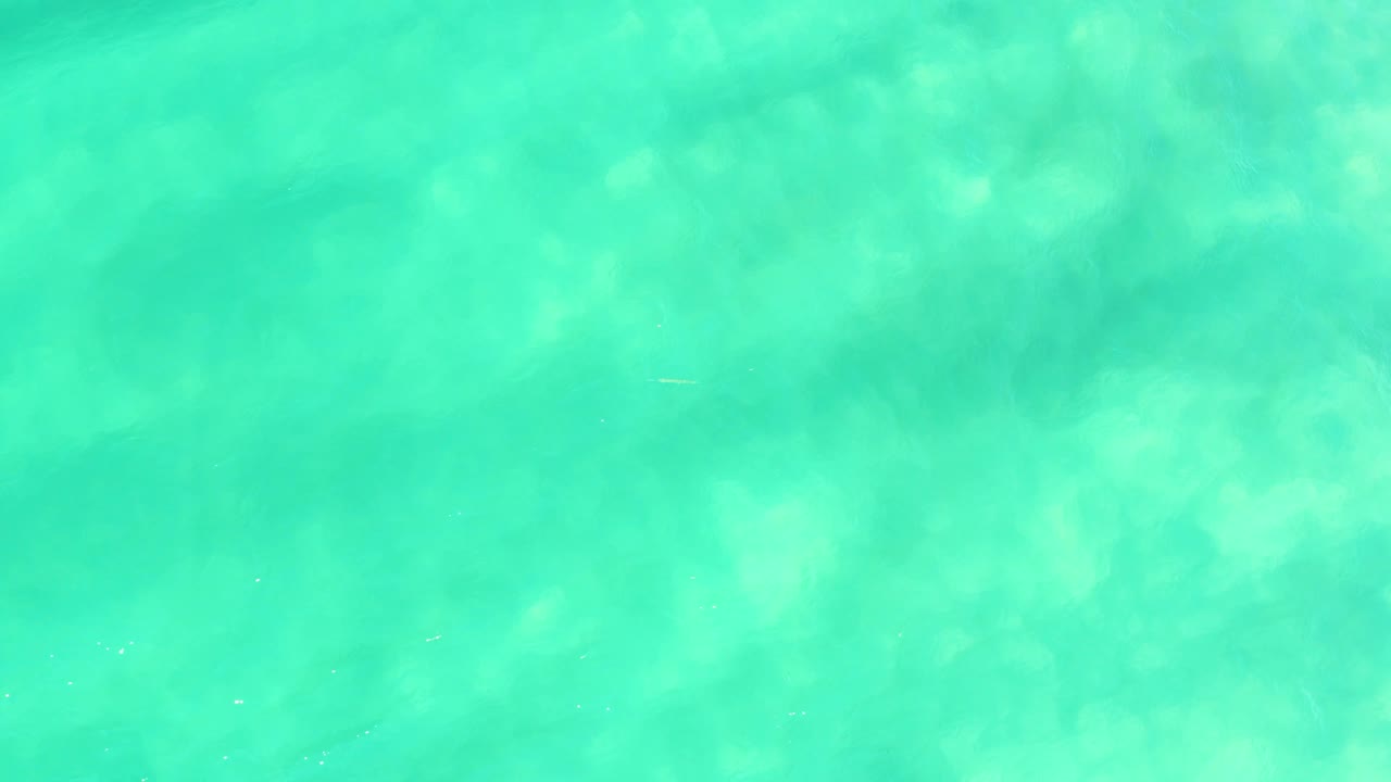 A top-down frame of shallow turquoise water in Campestre San Jose Del Cabo BCS Mexico shows pale sand below the surface and a faint small fish shape, with no visible people.