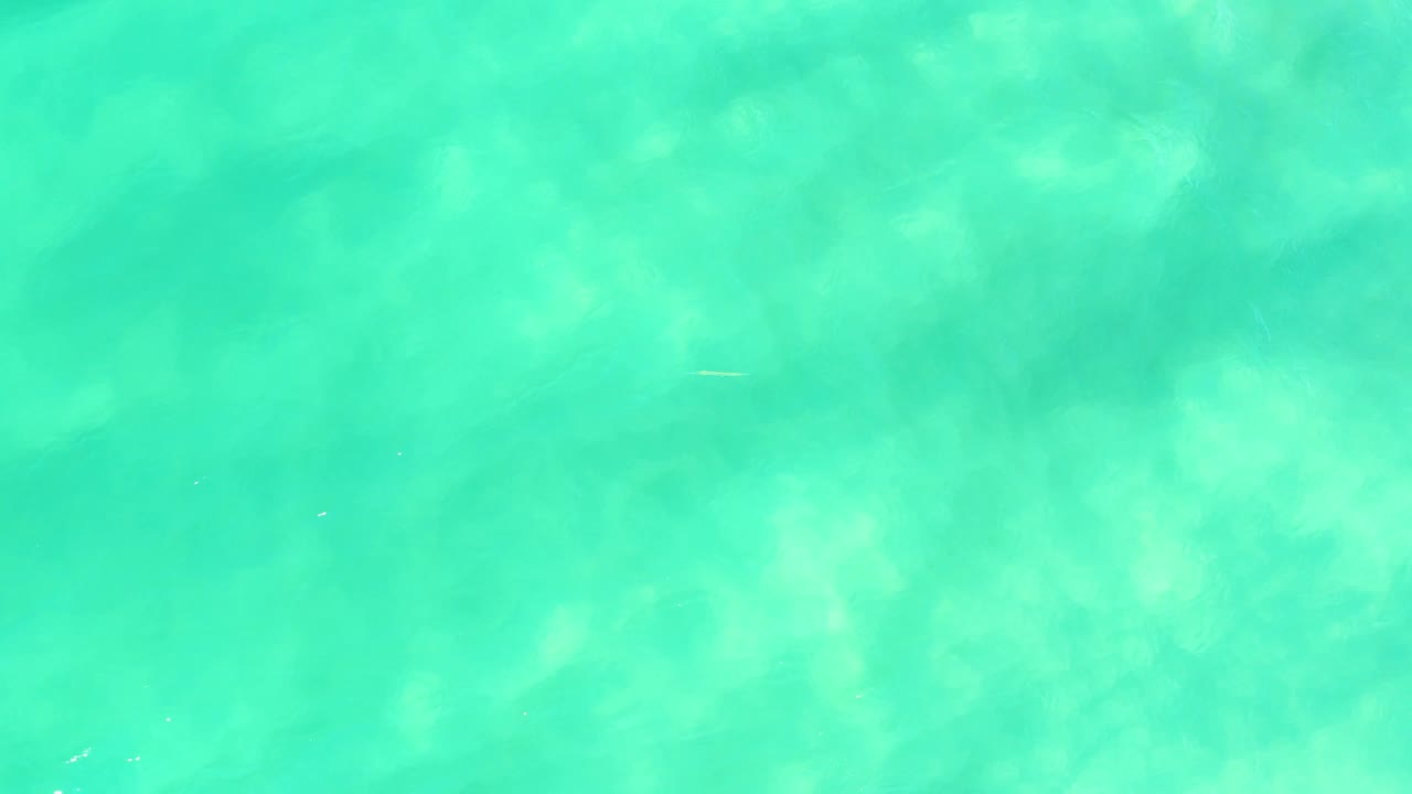 Cloudlike patches of light and shadow spread through clear turquoise water in Campestre San Jose Del Cabo BCS Mexico, with no shoreline and no visible people.
